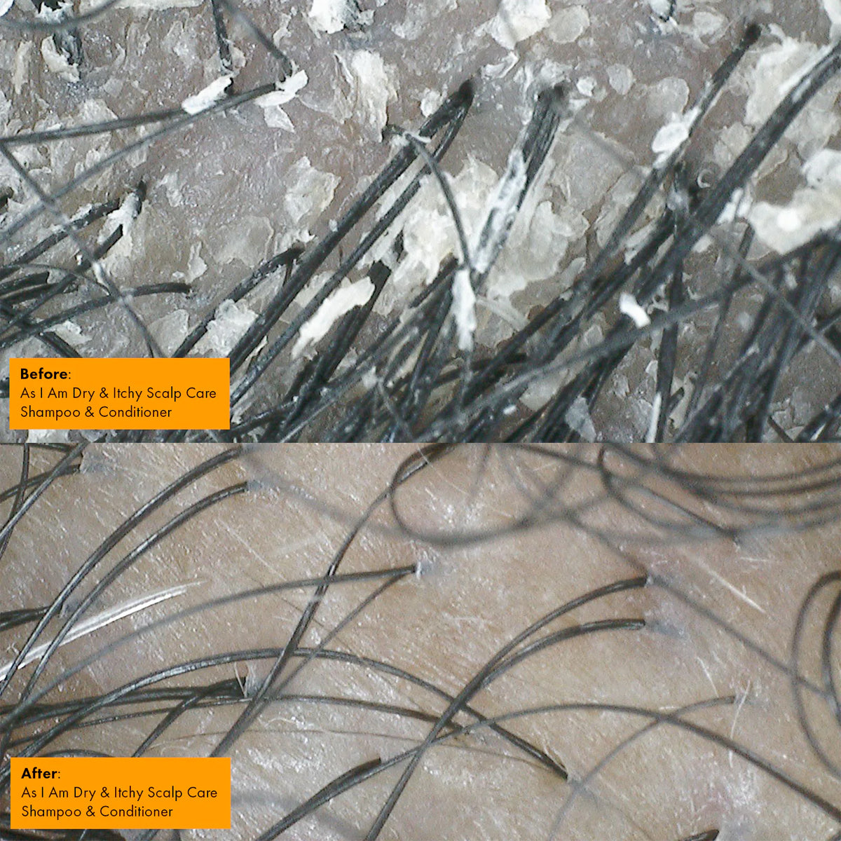 87a6b148bdc703de9769e7e7ac4fbbc0