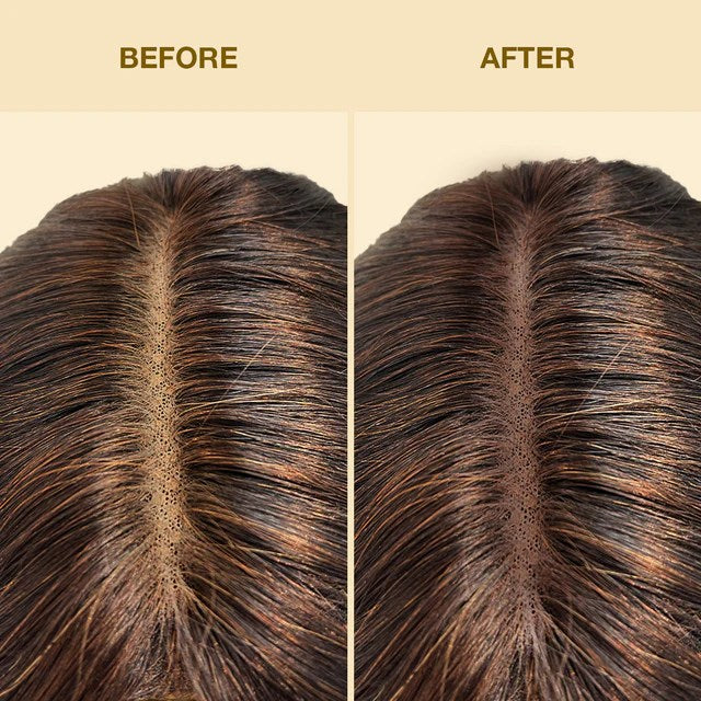 09ed664fac88a8c9301621433d5d37a7