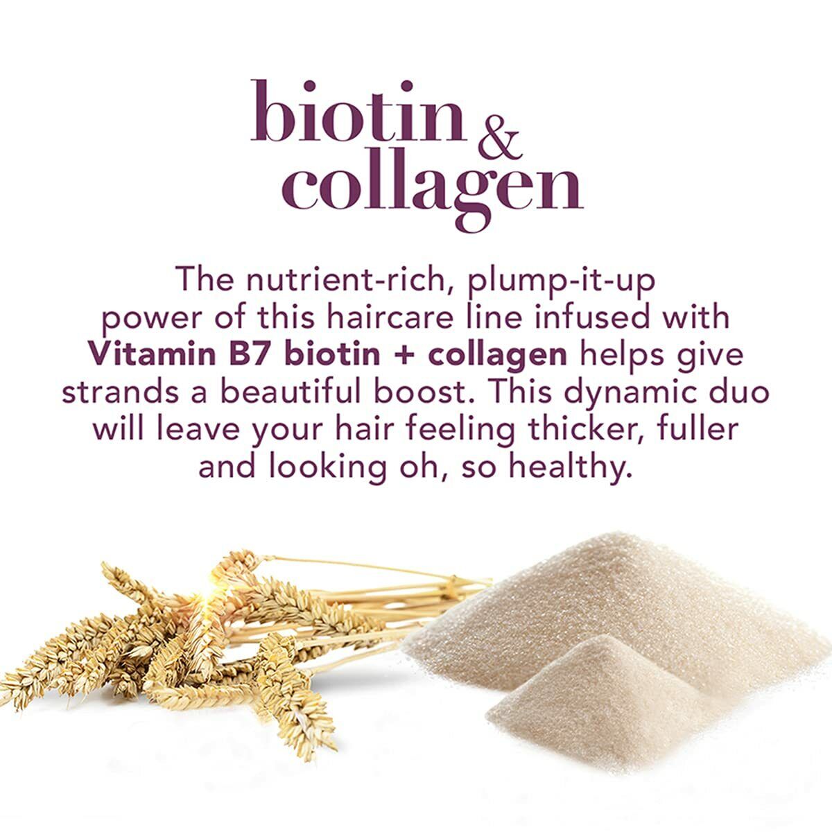 6ed4200701933c4076e70ff1042f05e9